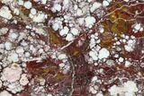Polished Wild Horse Magnesite Slab - Arizona #114308-1